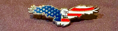 Bald Eagle Pin W M411